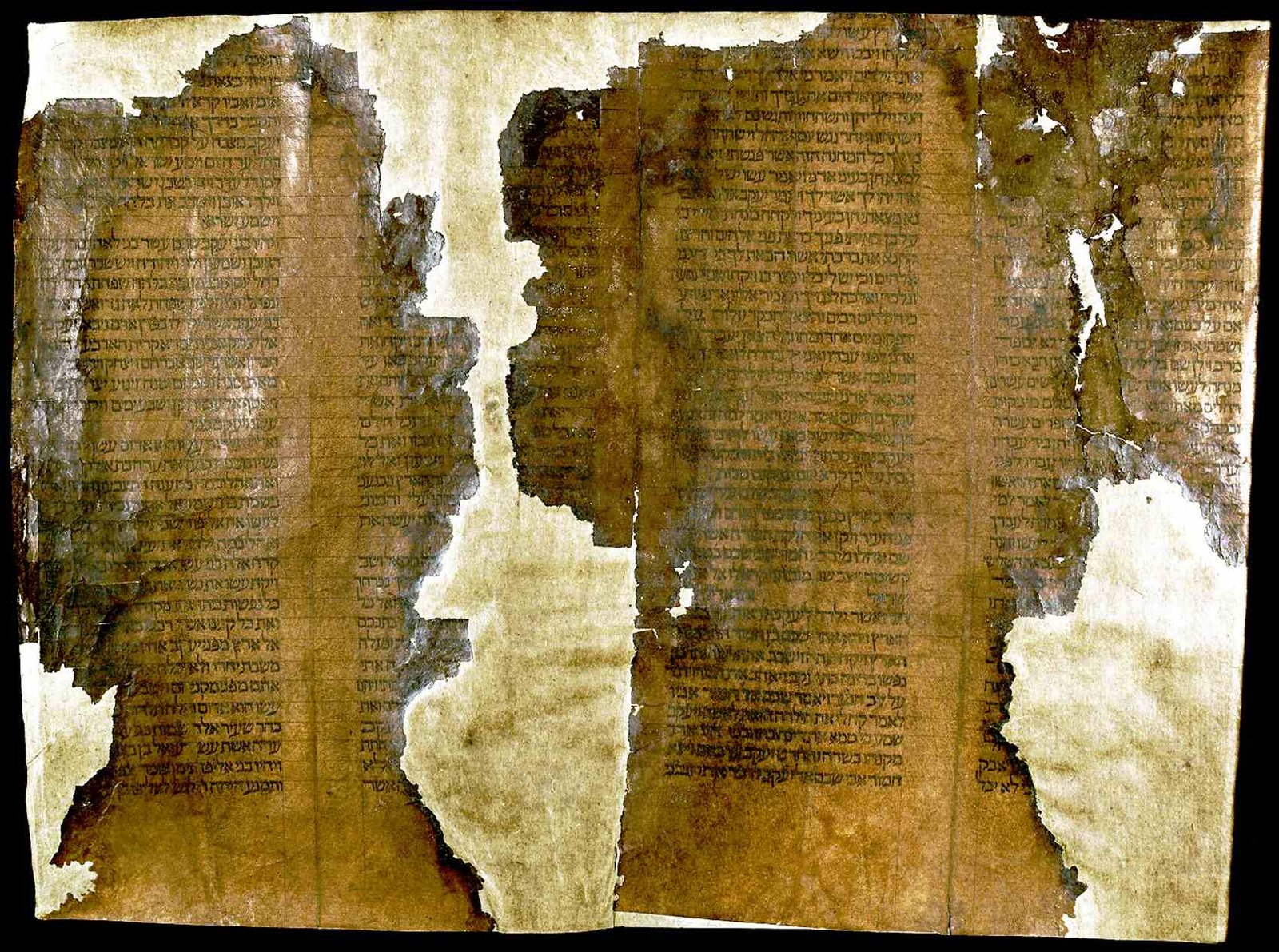 Fragmento de um rolo da Torá do século XIII com colunas de texto hebraico